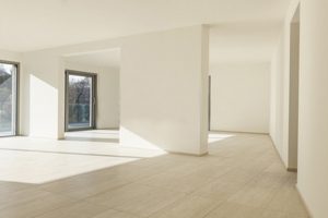 peinture maison 94 vincennes