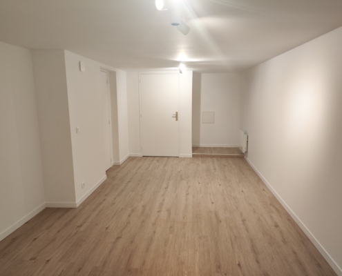 plaquiste-amenagement-sous-sol-noisy-le-grand-lemaire-peinture-renovation